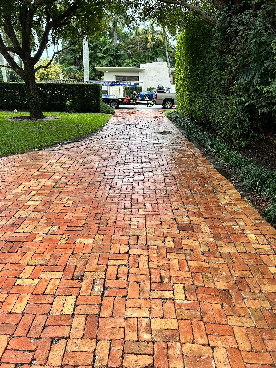 Patio/pool-deck & brick driveway soft-washing in Miami-Sunset Islands